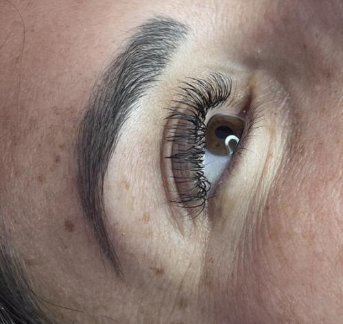 Cils
